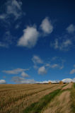 DSC_0047s.jpg