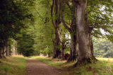 22nd September 2006 Fetternear