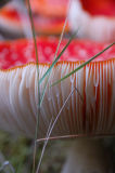 DSC_0073s.jpg