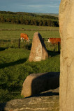 25th June 2008 stones