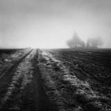 road, mist and cemetery