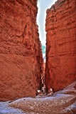 Quintessential Masculinity:Masculinité quintessencielle:精华阳刚之气:Bryce Canyon