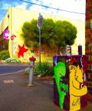 North Fitzroy