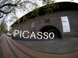 picasso exhibition