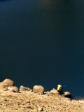 Hume Weir