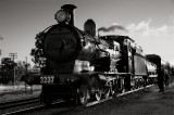 YZ0I8749b.jpg
