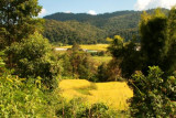 Farmland at Doi Inthanon National Park