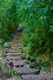 ...up stone stairs...