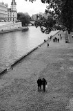 By the Seine II - DSC_3344.jpg
