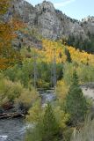 June Lake Loop 1