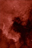 N America Nebula.jpg