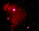 Flame nebula and Horse head nebula