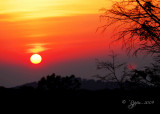 Sunrise  Shenandoah Mt, Va