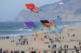 Lincoln City Kite Festival