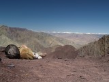 Taking a much-needed nap after the ascent to Stok-la (14,400 ft), with the Karakorum mountains in the distance