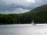 Yacht in Fitz Hugh Sound