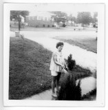 Nellie Shelton Carter