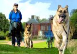 Romp at Kensington Park