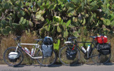 283    Mira & Holger - Touring Sicily - Specialized Stumpjumper Comp & VSF Bremer touring bike