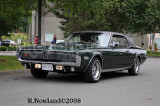 DSC_2349.jpg