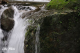 DSC_6939.jpg