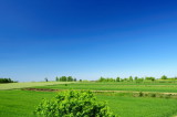 SKY_3944.JPG