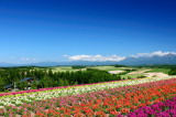 SKY_3955.JPG