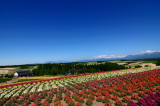 SKY_3959.JPG