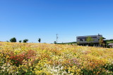 SKY_3967.JPG