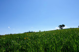 SKY_3972.JPG
