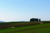 SKY_3989.JPG