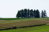 SKY_3992.JPG