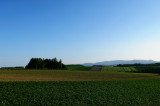 SKY_4030.JPG