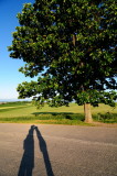SKY_4054.JPG