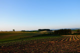 SKY_4061.JPG