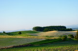 SKY_4067.JPG