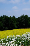SKY_4122.JPG