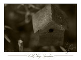 22Nov2008 Table Top Garden 23772