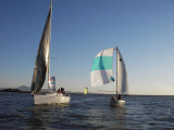 Joyride & Moorigami, 19:40 (127)