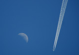 Fly me to the Moon