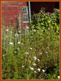 Barn Window