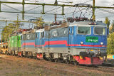 BF5T6033.jpg