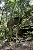 Old Man's Cave, Ohio