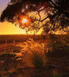 Sunset near Mullewa