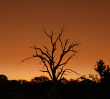 Dusk near Mullewa