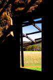 Settlers view