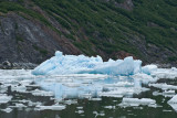 20080611280.jpg