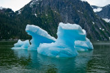 20080611534.jpg