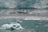 2008061333.jpg
