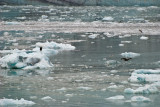 2008061336.jpg